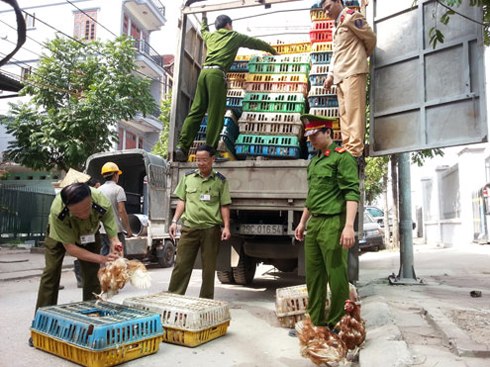 Phó Thủ tướng chỉ đạo xử lý nghiêm nếu phát hiện cán bộ, công chức bao che và tiếp tay cho hành vi buôn lậu, hàng giả. Ảnh minh họa: Phương Sơn