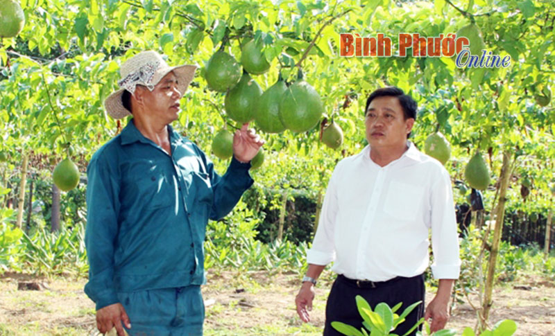 Kỹ sư Nguyễn Văn Đạo, Trung tâm Khuyến nông - Khuyến ngư hướng dẫn nhà nông Trần Hữu Đức cách phòng chống sâu bệnh trên vườn gấc 