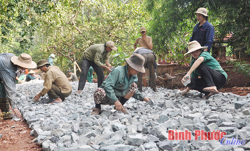 Nhà nước hỗ trợ xi măng, cát, đá còn người dân đóng góp tiền thuê nhà thầu thi công đường GTNT (ảnh: Người dân tổ 2, ấp Đông Hồ, xã Tân Hưng, huyện Hớn Quản làm đường GTNT)