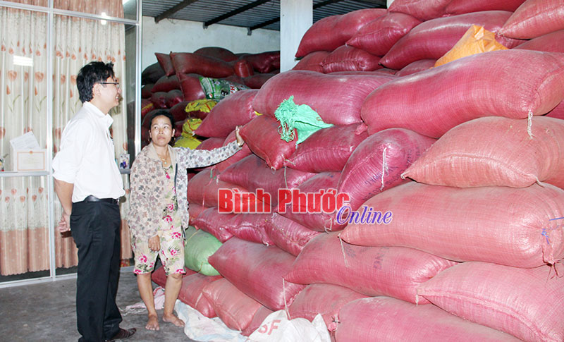 Cán bộ tín dụng Phòng giao dịch Ngân hàng Nông nghiệp và Phát triển nông thôn Tân Lập kiểm tra kho cà phê 54 tấn của chị Đỗ Thị Nga vừa mới đầu tư tích trữ từ vốn vay 700 triệu của ngân hàng