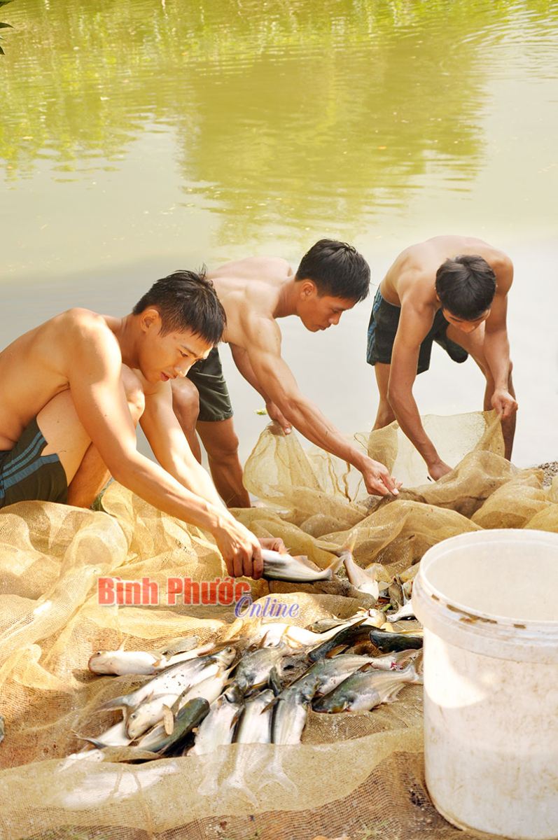 Những ngày tết, đơn vị đã tăng khẩu phần ăn cho cán bộ, chiến sĩ thêm 20 ngàn đồng/người/ngày