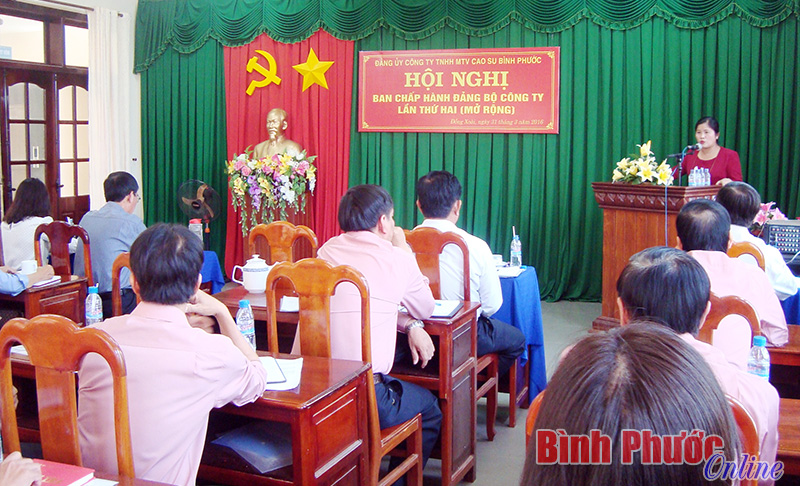 Phó bí thư thường trực Tỉnh ủy Trần Tuệ Hiền phát biểu chỉ đạo hội nghị