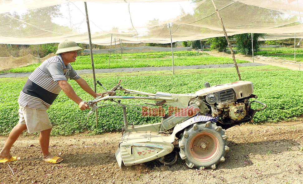 Anh Phạm Văn An làm đất chuẩn bị cho đợt trồng rau mới