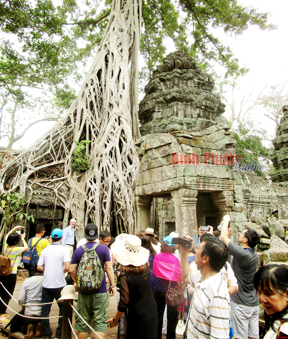 Du khách tham quan những cái “lạ” ở đền Ta Prohm