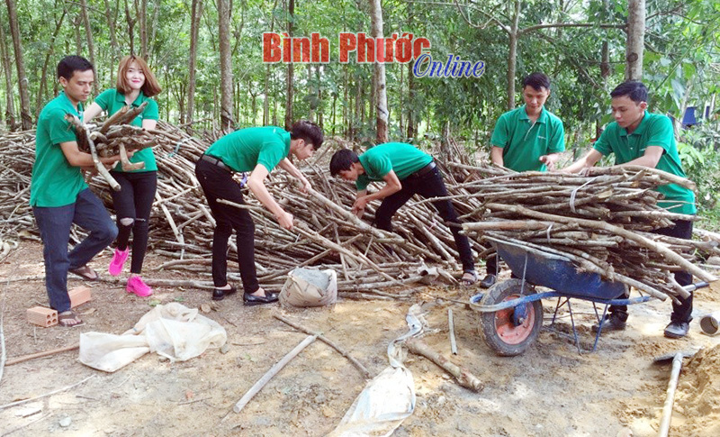 Thanh niên Công ty OPPO Bình Phước lấy củi, dọn dẹp khuôn viên Mái ấm tình thương Minh Trần 