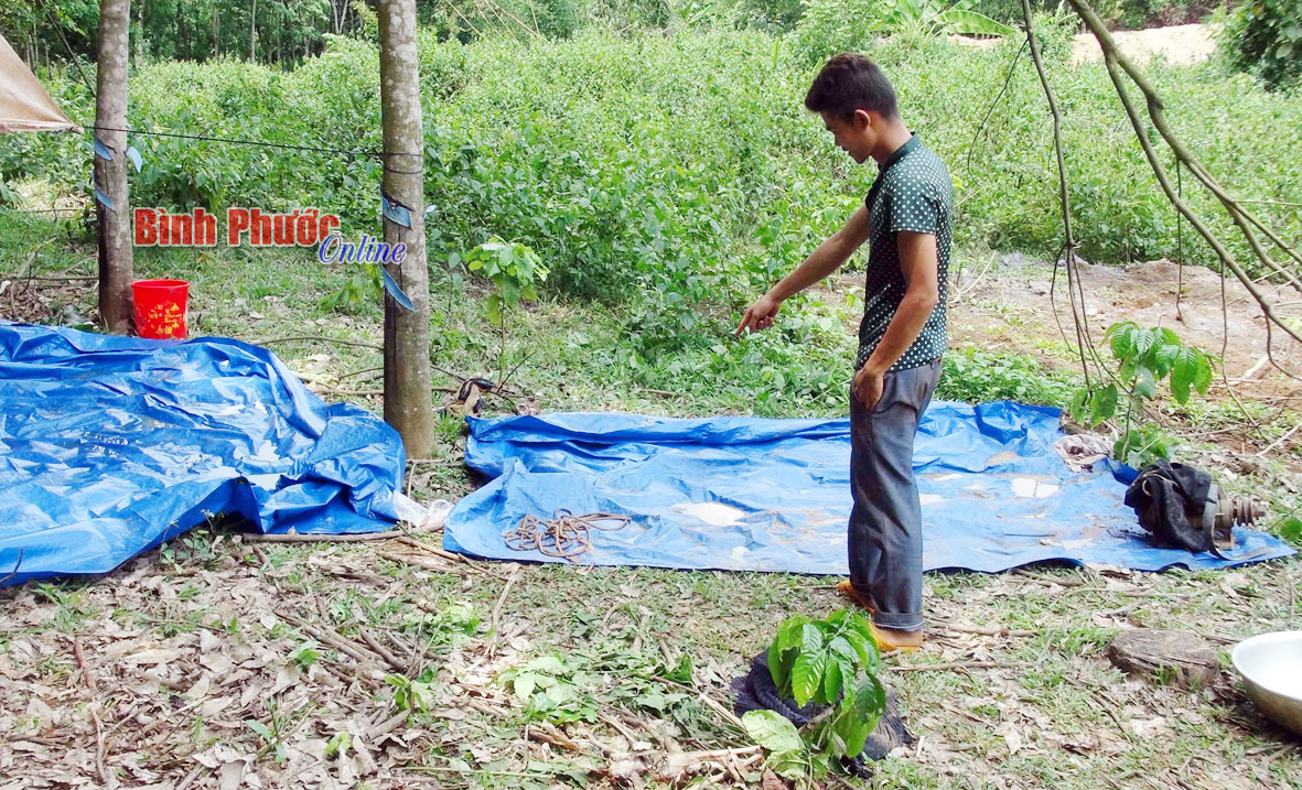 Dây thừng và đầu củ máy bơm trói tay nạn nhân