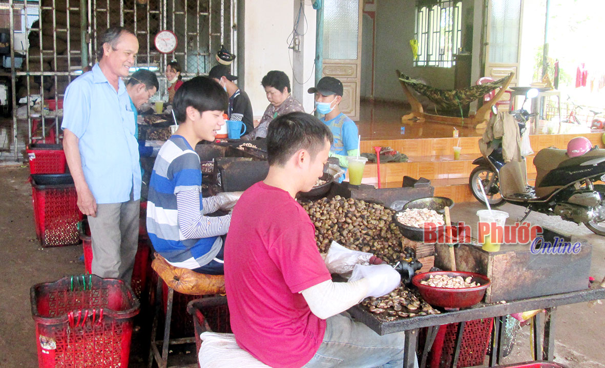 Nhờ có vốn vay của hội, cựu chiến binh Nguyễn Đăng Vạy đã thoát nghèo và tạo việc làm cho 8 công nhân với mức lương ổn định