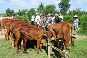 Ảnh minh họa. (Nguồn: Minh Trí/TTXVN)