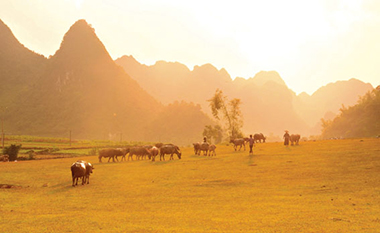 Nắng chiều Trùng Khánh.