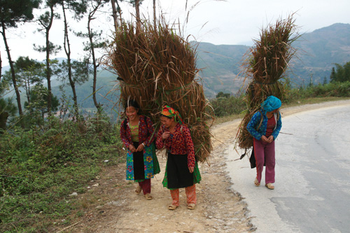 Phụ nữ vùng cao Hà Giang cần cù, chịu khó.