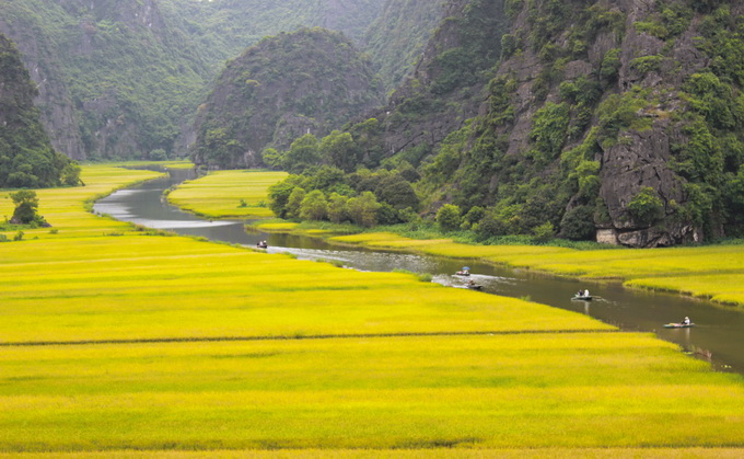 Bức tranh lộng lẫy mùa vàng