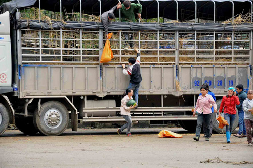 Dưa hấu 'làm nóng' Quốc hội