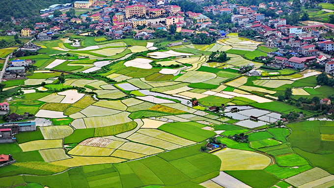 Những mảng màu của cuộc sống