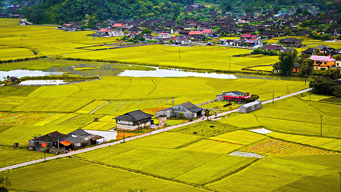 Ngôi nhà ngỏ nằm giữa thung lũng vàng