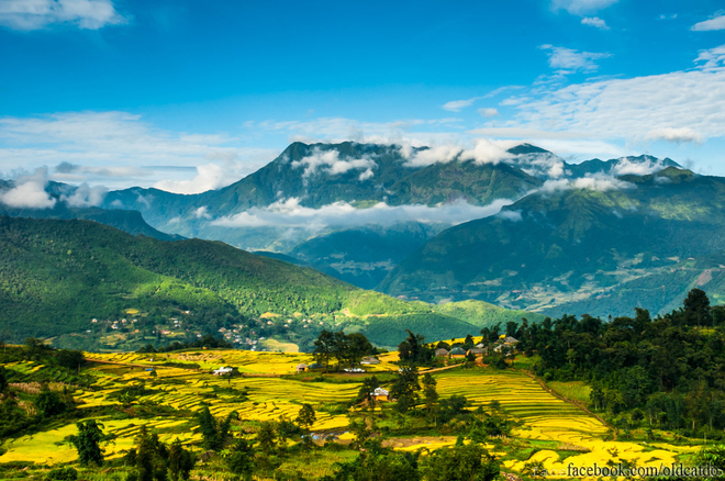 Bản làng của người Hà Nhì nép mình trên những bậc thang vàng óng lẫn trong mây trời Y Tý.