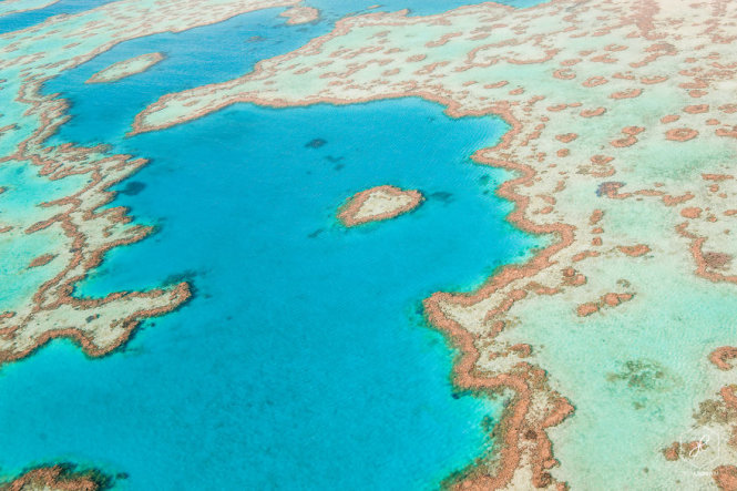 Heart Reef, Great Barrier Reef, Queensland