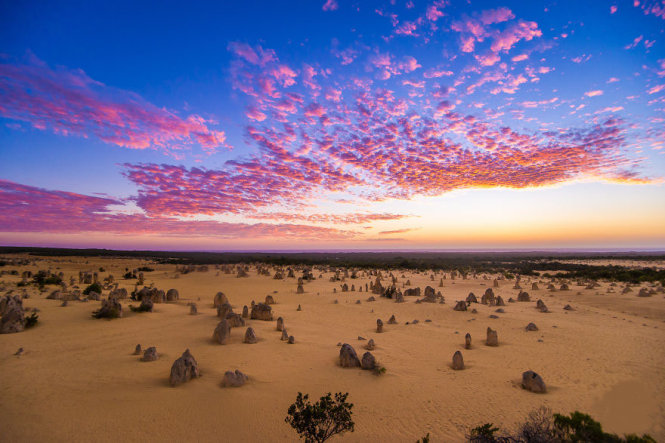 Pinnacles, Western Australia