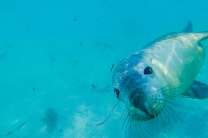 Port Lincoln, South Australia