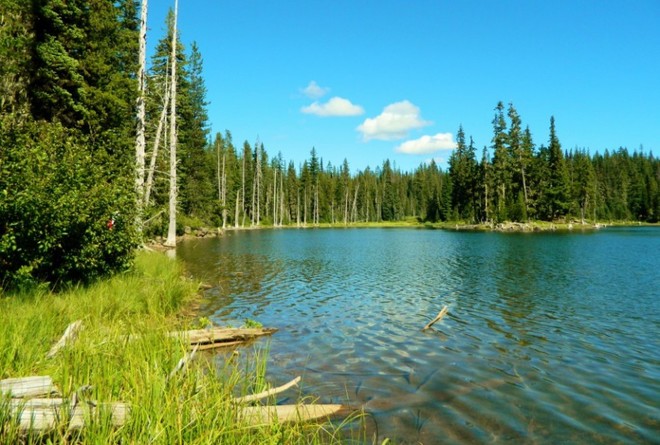 Hồ Horseshoe, Mỹ, nằm gần thị trấn Mammoth Lakes, được xem như một sát nhân thầm lặng. Hồ nước đẹp này còn được mệnh danh là một trong những hồ tử thần rùng rợn nhất thế giới. Ở khu vực phía Bắc hồ có rất ít cây cối và lượng CO2 tại đây cao hơn bình thường rất nhiều. Năm 2006 có 3 người thiệt mạng vì trú ẩn ở một hang động gần hồ.