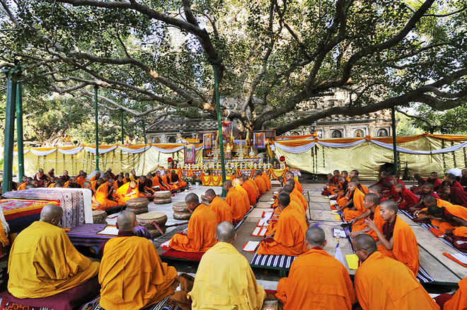 Các nhà sư tập trung về Bodh Gaya, bang Bihar trong mùa lễ hội.