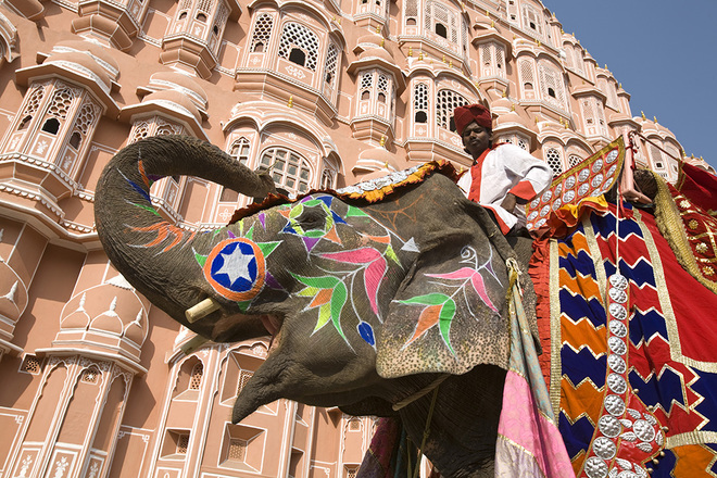 Một chú voi với những họa tiết trang trí sặc sỡ bước qua Hawa Mahal. Trong tiếng Ấn Độ, nơi này có nghĩa là Cung điện Gió, nằm tại thành phố Jaipur. Tên gọi này liên quan đến mục đích xây dựng tòa nhà với những bức tường cao ngất, từng là nơi để phụ nữ dòng dõi hoàng gia đứng xem lễ hội đường phố bên ngoài.  