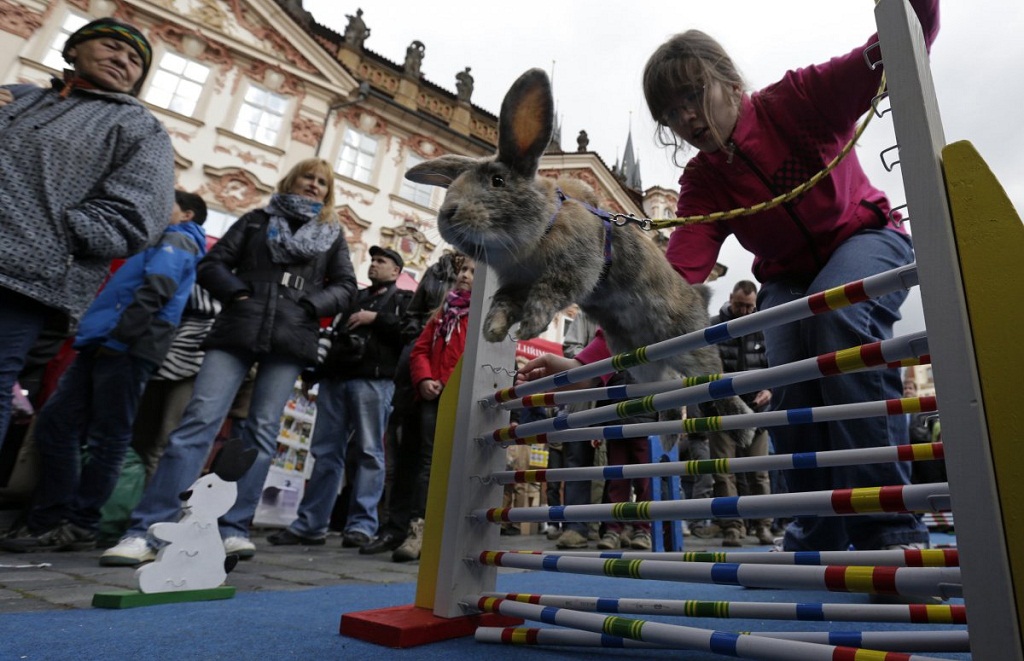 Praha, Séc, ngày 14/4: