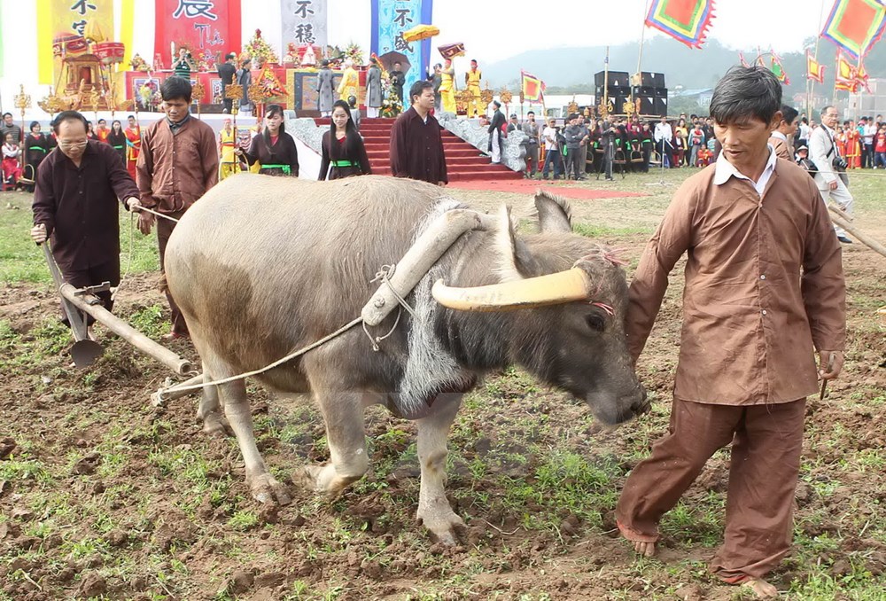 Ông Hoàng Tuấn Anh, Bộ trưởng Bộ Văn hóa, Thể thao và Du lịch thực hiện xá cày đầu năm