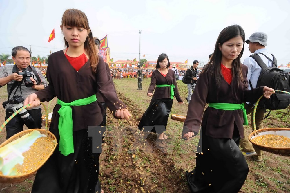 Thôn nữ gieo hạt giống, mong một năm mới mùa màng bội thu