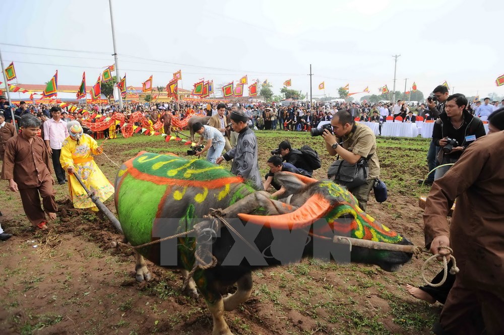 Tái hiện hình ảnh vua Lê Đại Hành xuống ruộng đi cày