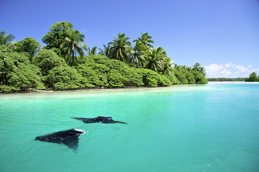 Đảo Palmyra Atoll, miền Nam đảo Hawaii, Thái Bình Dương. Nơi đây cách lục địa gần nhất 5.400km và không có người sinh sống. (Nguồn: Sputniknews)