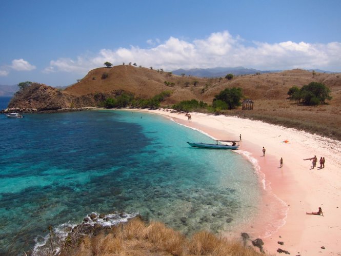 Bãi biển cát hồng ở công viên quốc gia Komodo, Flores, Indonesia - Ảnh: gotsaga