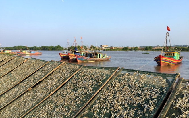  Trên triền đê sông Diêm Hộ - Ảnh: Băng Giang