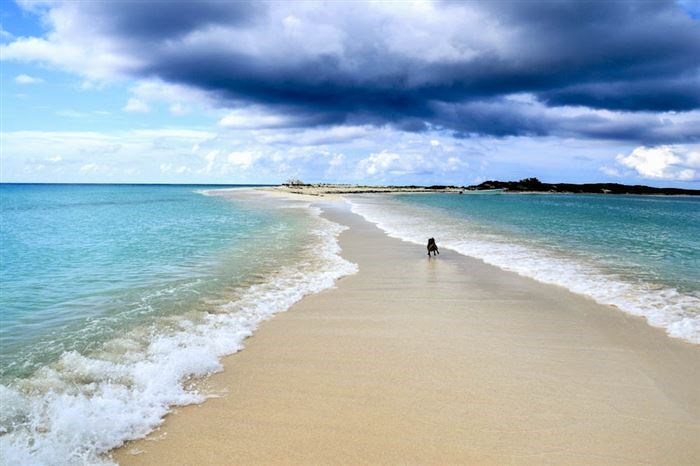 Bãi biển quần đảo Los Rocques - Venezuela.