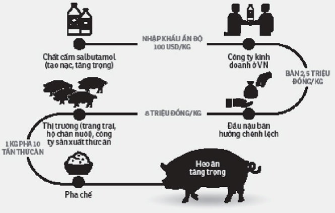 Sơ đồ đường đi của chất cấm - Đồ họa: Tấn Đạt