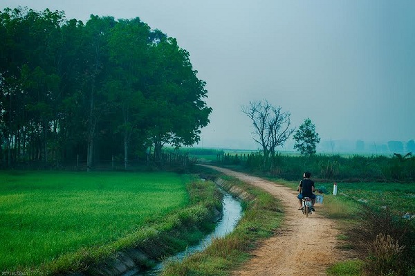  Những người anh đi làm về  trên con đường quê mộc mạc.