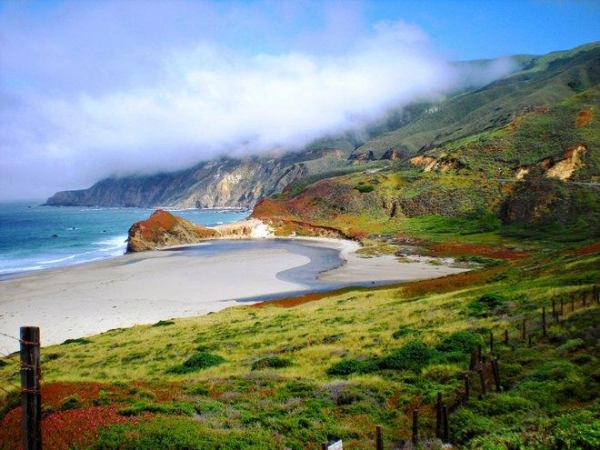 Big Sur ở California (Mỹ) là nơi du khách có cơ hội ngắm cá voi nhưng hạn hán và cháy rừng gần đây đã làm tổn hại đến khu vực ven biển, dẫn đến việc phá hủy môi trường sống của loài động vật có vú này.