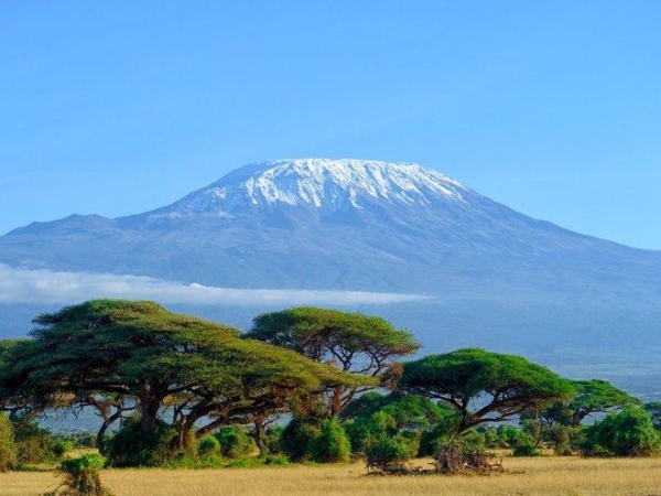 Bức tranh tuyết đẹp như tranh vẽ ở đỉnh núi Kilimanjaro (Tanzania) có thể chỉ còn là dĩ vãng. Trong những năm giữa 1912 và 2007, lớp băng Kilimanjaro của thu hẹp 85%.