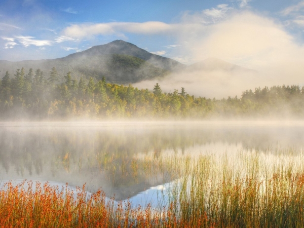 Dãy núi Adirondack, Mỹ: Ngoài chiêm ngưỡng khung cảnh hoang sơ, hùng vĩ, du khách còn có thể trải nghiệm hệ thống cầu và đài quan sát trên cao, cùng các ngôi nhà cây tuyệt đẹp.