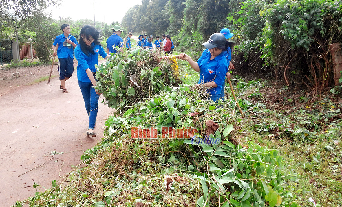 Đoàn viên thanh niên Lộc Ninh phát quang bụi rậm, cây cối hai bên đường làm thông thoáng đường giao thông