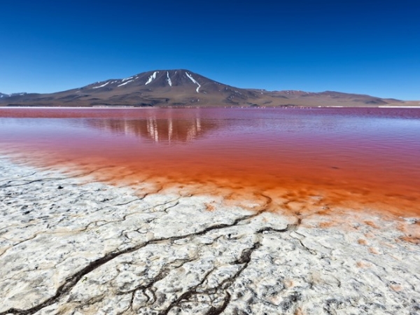 Laguna Colorada, Bolivia: Laguna Colorada là hồ nước mặn nằm ở độ cao gần 4.300 m so với mực nước biển, thuộc khu bảo tồn thiên nhiên Eduardo Avaroa Andean Fauna. Hồ nước này chỉ sâu chưa tới 1 m, có màu đỏ do một loại tảo sống trong nước mặn. Đây còn là nơi sinh sống của những con chim hồng hạc quý hiếm.  