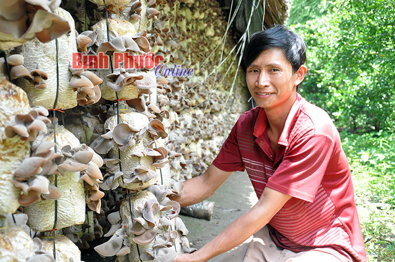 Mô hình trồng nấm linh chi, nấm mèo của anh Đặng Quang Chung ở ấp 3, xã Tân Thành, đã giúp gia đình ổn định kinh tế và tạo việc làm cho nhiều lao động trong xã