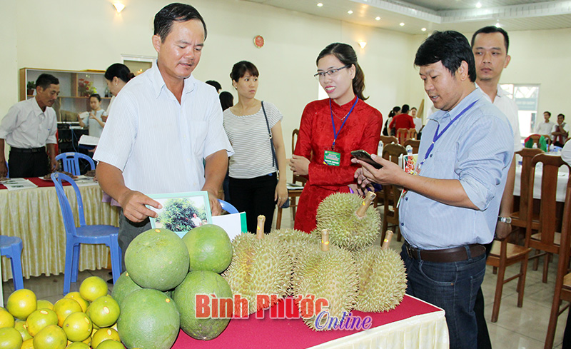 Đại diện doanh nghiệp TP. Đà Nẵng tìm hiểu cơ hội đầu tư, tham quan gian hàng của trang trại trái cây Quý Đông (Bình Phước) tại hội nghị