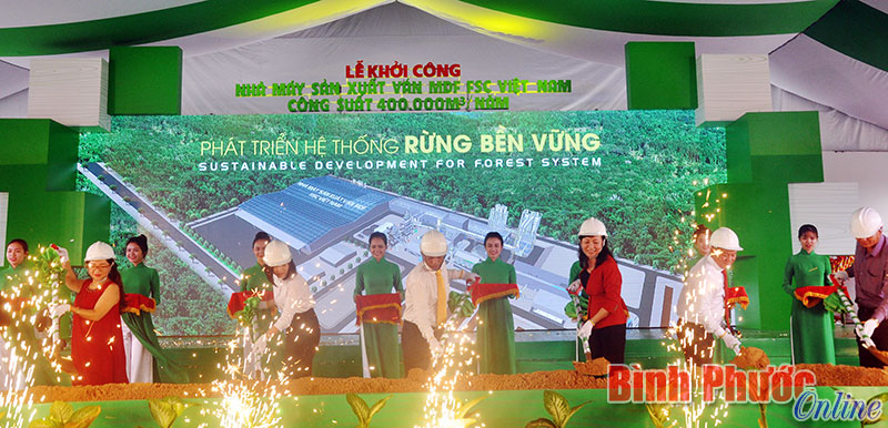 Lãnh đạo tỉnh, nhà đầu tư trồng cây “Phát triển hệ thống rừng bền vững” tại buổi lễ