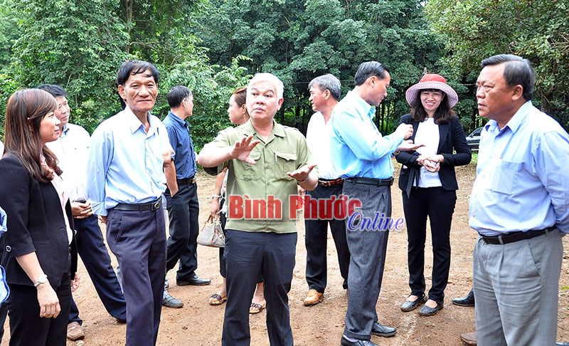 Tại tổ hợp tác ca cao Phú Văn, Bí thư Tỉnh ủy Nguyễn Văn Lợi chỉ đạo các sở, ngành và huyện Bù Gia Mập liên kết các tổ hợp tác thành lập HTX để được hưởng các chính sách ưu đãi