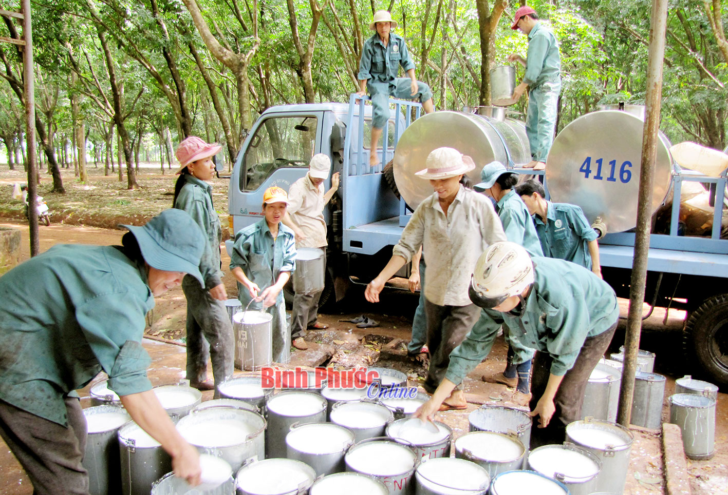 Giá cao su đang hồi phục làm ấm lòng nhà vườn và doanh nghiệp