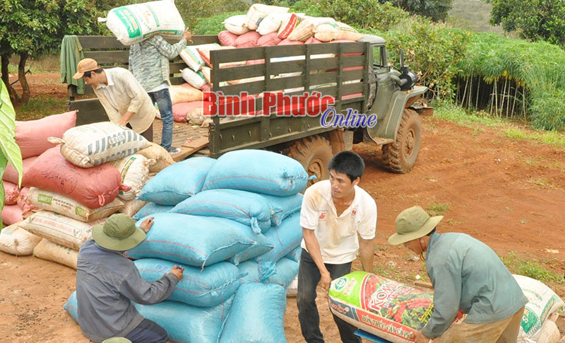 Vụ mùa năm 2016, sản phẩm điều nhân trên địa bàn huyện Bù Gia Mập tăng 5,7% so cùng kỳ năm trước. Trong ảnh: Nông dân xã Đa Kia cân hạt điều bán cho các thương lái