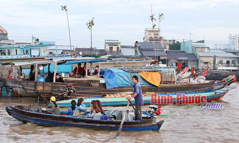 Du khách tham quan chợ nổi Cái Răng.