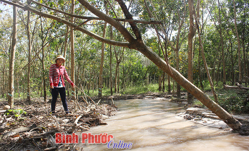 “Ban đêm nước suối Muồng chuyển qua màu đỏ sẫm chứ không phải như ban ngày”, chị Lệ  cho biết