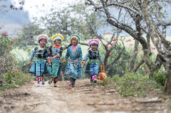 den moc chau kham pha tet cua nguoi mong hinh anh 2