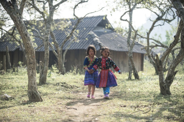 den moc chau kham pha tet cua nguoi mong hinh anh 15